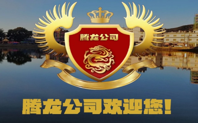 腾龙娱乐酒店